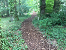 Lade das Bild in den Galerie-Viewer, Orientierung - INROSO