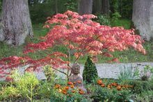 Lade das Bild in den Galerie-Viewer, Selbstliebe - INROSO